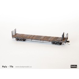 TTe - Pa/u